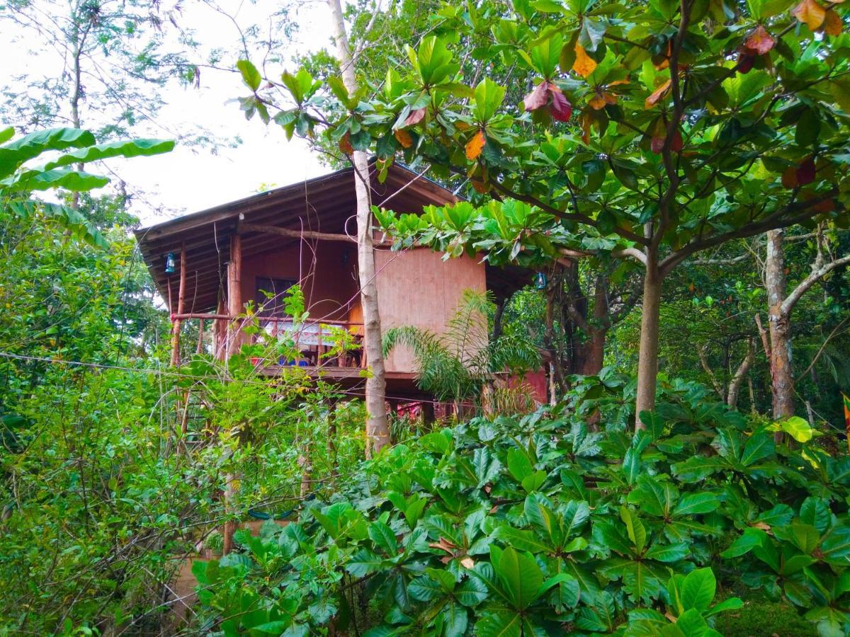 Apartament Akash Treehouse Sigirija Zewnętrze zdjęcie
