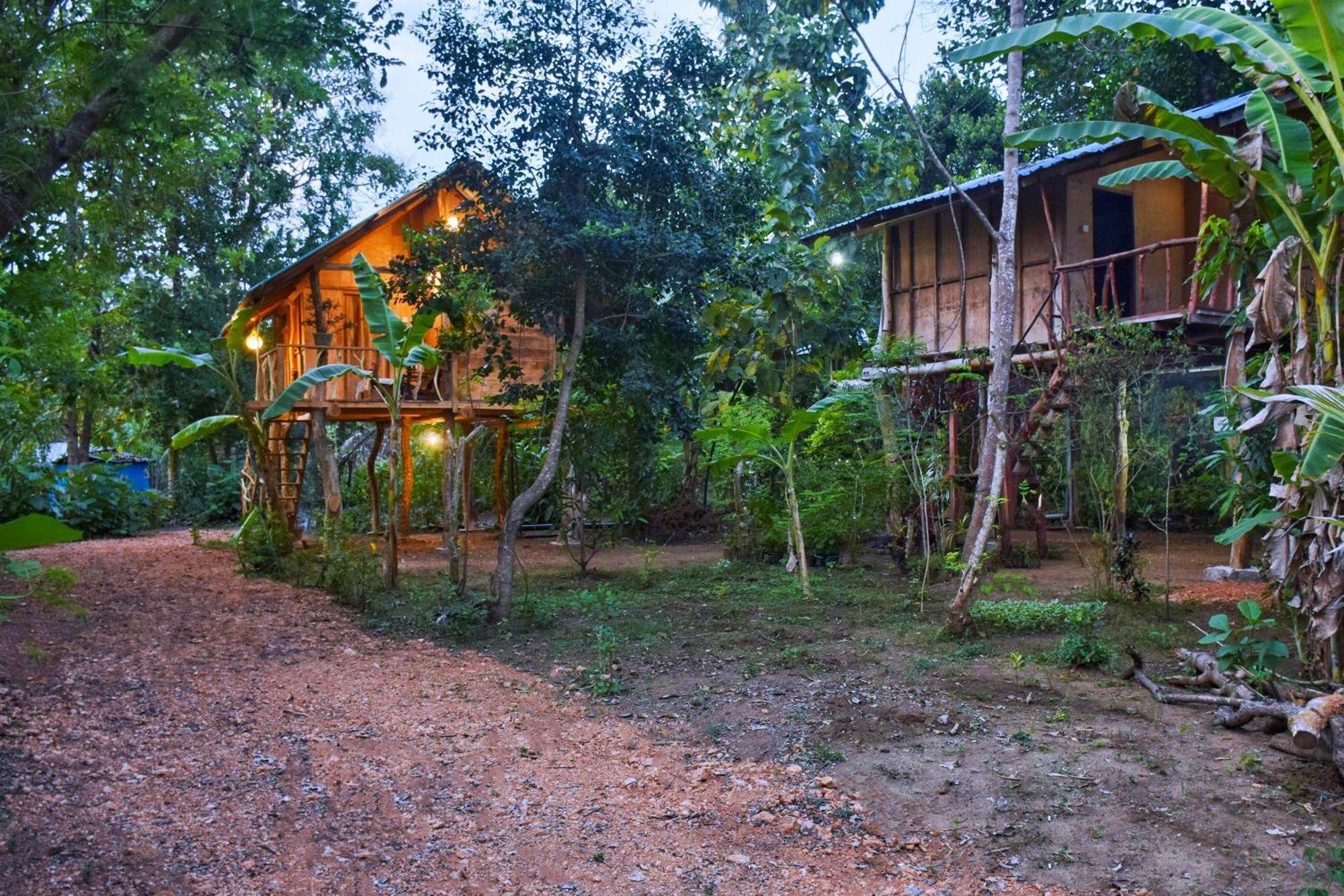Apartament Akash Treehouse Sigirija Zewnętrze zdjęcie