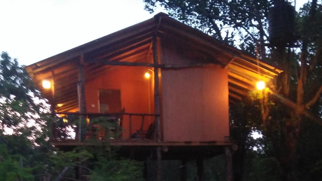 Apartament Akash Treehouse Sigirija Zewnętrze zdjęcie